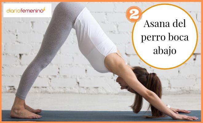 Postura de yoga ansiedad: asana del perro boca abajo